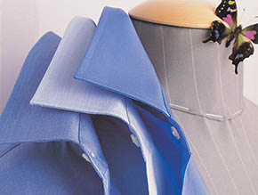 Moodesto Limited Image